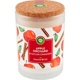 Airwick Lumânare Apple Orchard, 1 buc