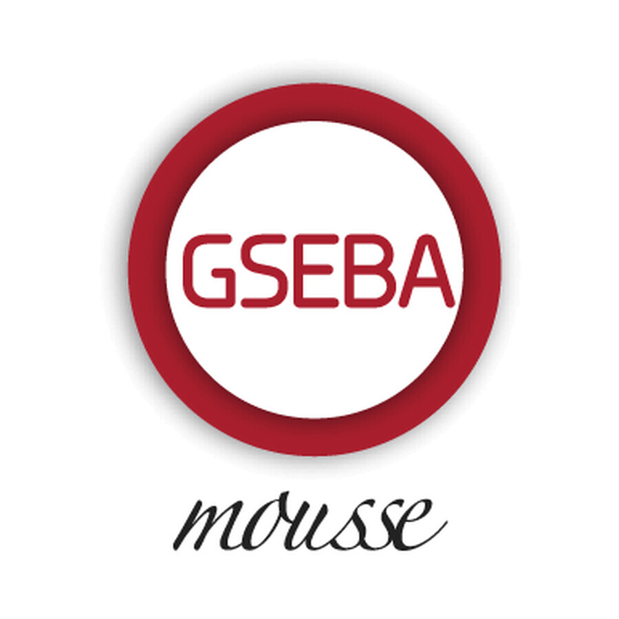 Gseba spuma, 100 ml, Meditrina Pharmaceuticals