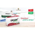 Urisan Urinary Tract GR, 30 comprimate, Sun Wave Pharma