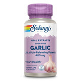 Garlic (Usturoi) 500mg Solaray, 60 capsule, Secom