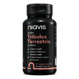 Tribulus Terrestris Extract, 60 capsule, Niavis