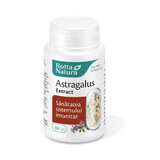 Astragalus Extract, 30 capsule, Rotta Natura