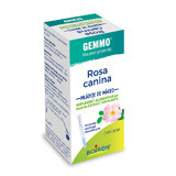 Extract din mladite de maces Rosa Canina Gemmo, 60 ml, Boiron