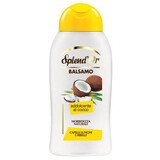 Haarconditioner met kokosolie, 300 ml, Splend'or