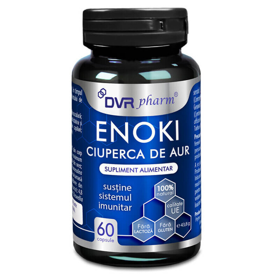 Enoki Ciupera de Aur, 60 capsule, DVR Pharm