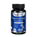 Ganoderma Reishi Triterpense Standardizat, 60 capsule, DVR Pharm
