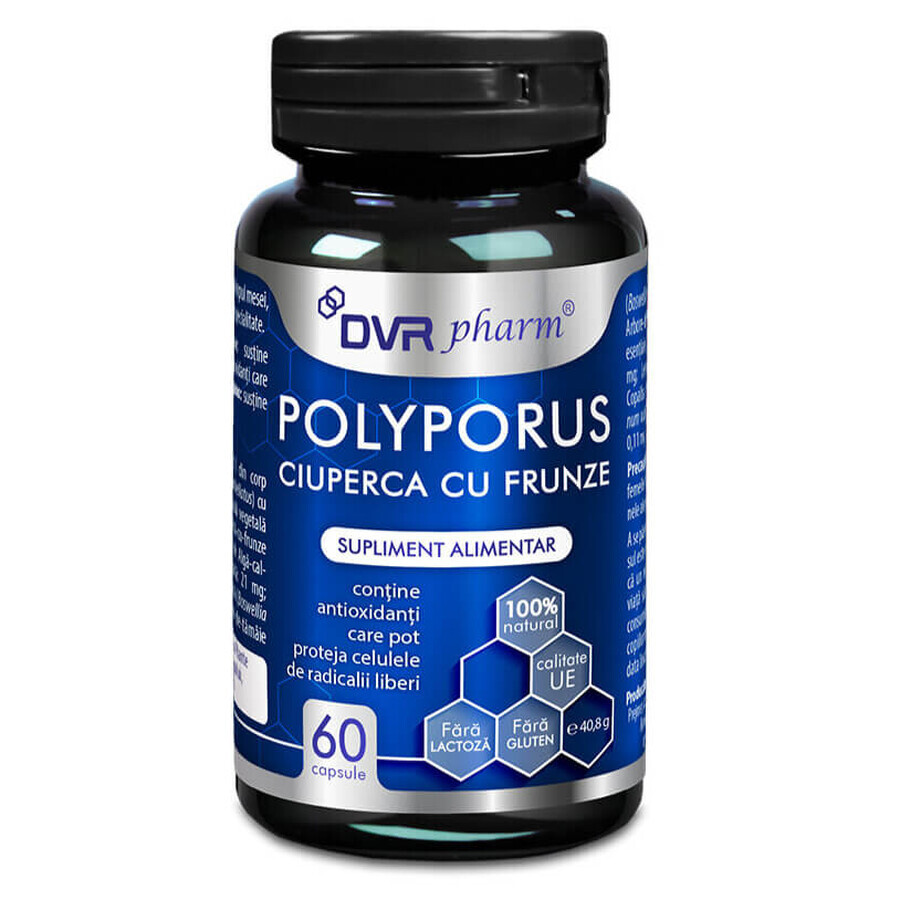 Polyporus Ciupera cu Frunze, 60 capsule, DVR Pharm