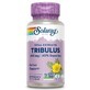 Tribulus Fruit Extract, 450 mg, 60 capsule vegetale, Secom