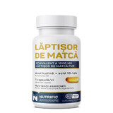 Laptisor de matca, 60 capsule moi, Nutrific