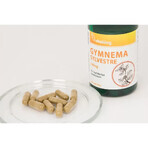 Gymnema Sylvestre 400 mg, 90 cápsulas, VitaKing