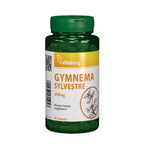 Gymnema Sylvestre 400 mg, 90 cápsulas, VitaKing