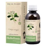 HerboTensin tinctură (Reglator al tensiunii), 200 ml, Dacia Plant