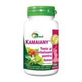 Kamaiany, 100 tablete, Ayurmed