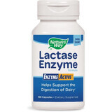 Lactase Enzyme - Active Nature's Way, 100 capsule, Secom