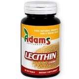 Lecithin 1200 mg, 30 capsules, Adams Vision