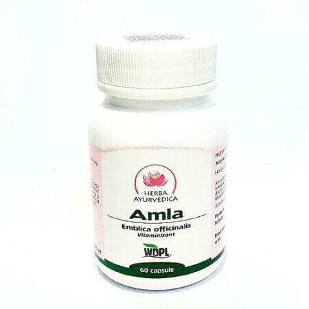 Amla, 60 capsules, Ayurvedic Herb