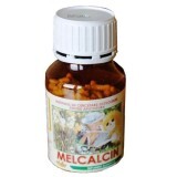 Melcalcin, 100g, Institulul Apicol