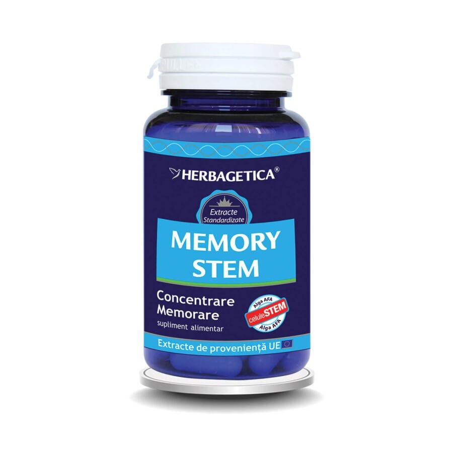 Memory Stem, 60 capsule, Herbagetica