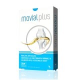 Movial Plus, 28 capsule, Actafarma