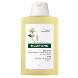 Șampon cu extract de magnolie pentru păr tern, 200 ml, Klorane