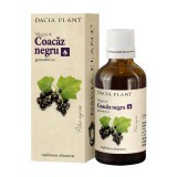 Muguri de Coacaz Negru, 50 ml, Dacia Plant