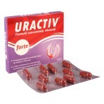 Pachet Uractiv forte, 20 + 16 capsule, Fiterman Pharma
