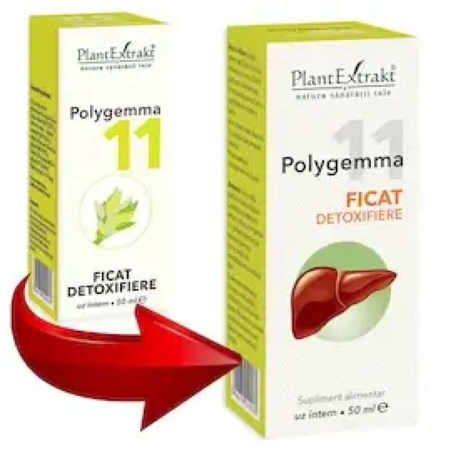 Polygemma 11 Ficat detoxifiere, 50 ml, Plant Extrakt
