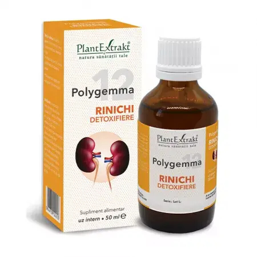 Polygemma 12, Rinichi detoxifiere, 50 ml, Plant Extrakt