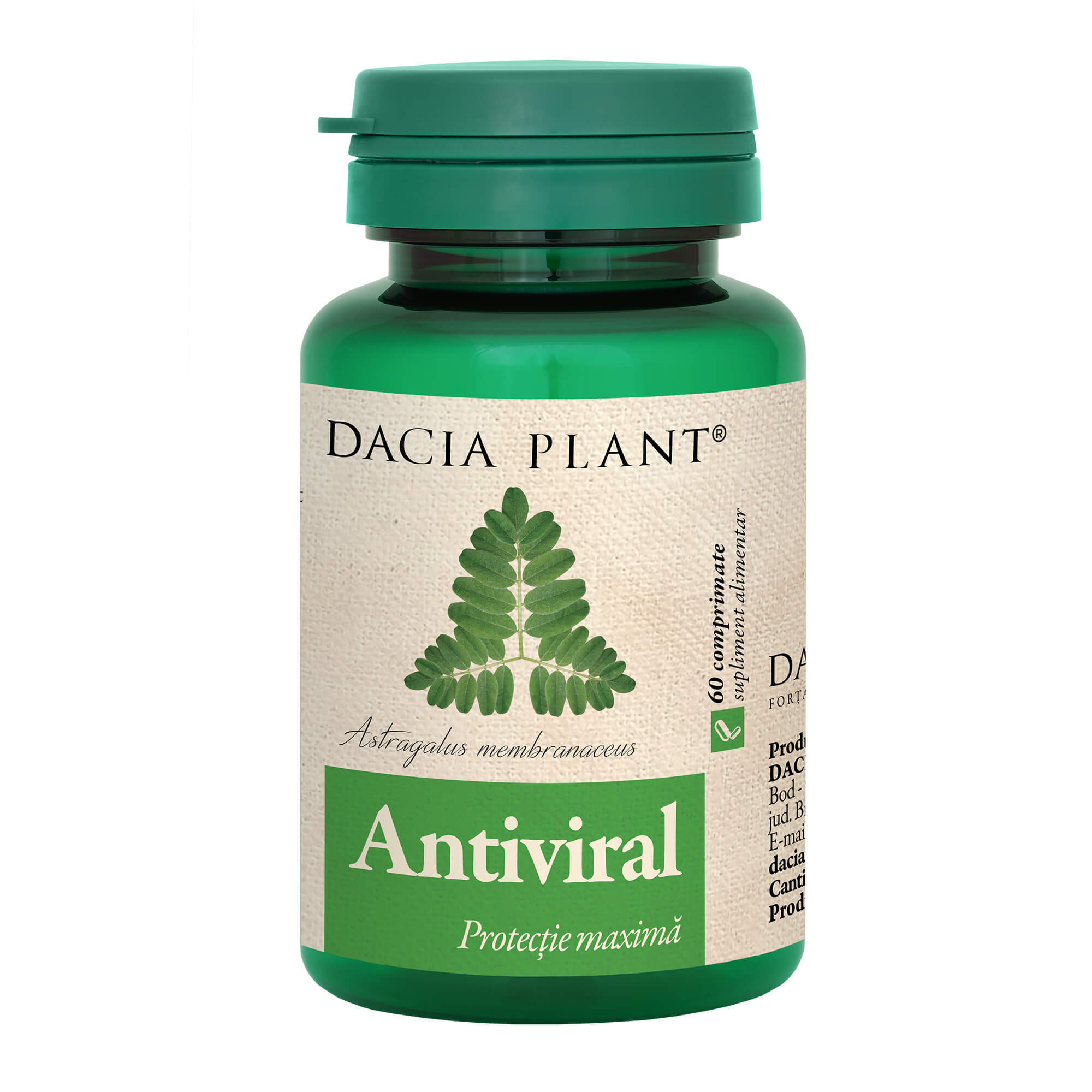 Antiviral, 60 comprimate, Dacia Plant Vitamine si suplimente