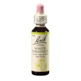 Remediu floral picaturi castan alb White Chestnut Original Bach, 20 ml, Rescue Remedy
