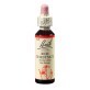 Remediu floral picaturi castan rosu Red Chestnut Original Bach, 20 ml, Rescue Remedy