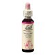 Remediu floral picaturi salcie galbena Willow Original Bach, 20 ml, Rescue Remedy