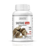 Shiitake Forte, 60 capsule, Zenyth