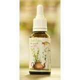 Solutie aerosoli cu propolis pentru copii Aburii Naturii, 20 ml, Prisaca Transilvania