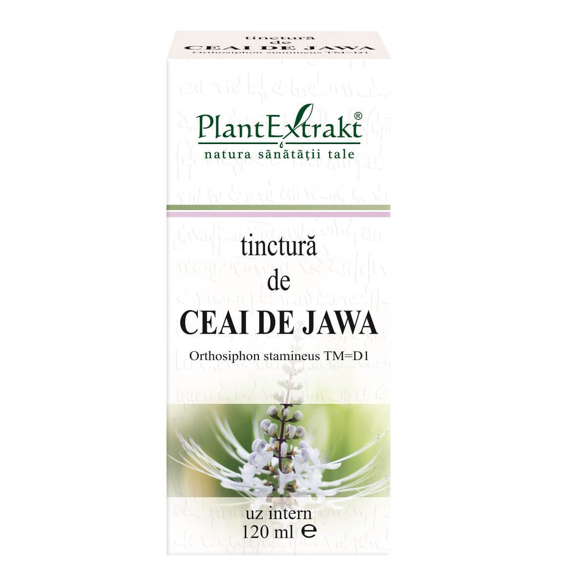 Tinctură de Ceai de Jawa, 120 ml, Plant Extrakt Vitamine si suplimente