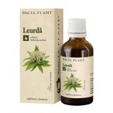 Tinctură de Leurda, 50 ml, Dacia Plant
