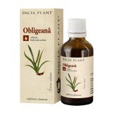 Tinctură de Obligeană, 50 ml, Dacia Plant