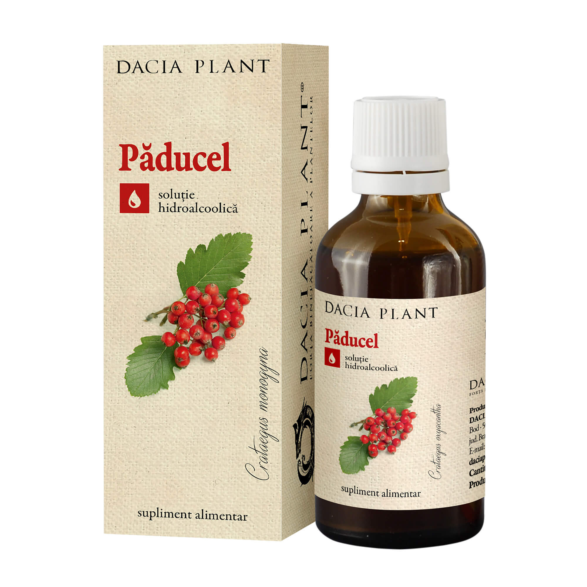 Tinctură de Păducel, 50 ml, Dacia Plant Vitamine si suplimente