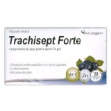 Trachisept Forte cu Vit C și Zn, 20 comprimate, Alvogen