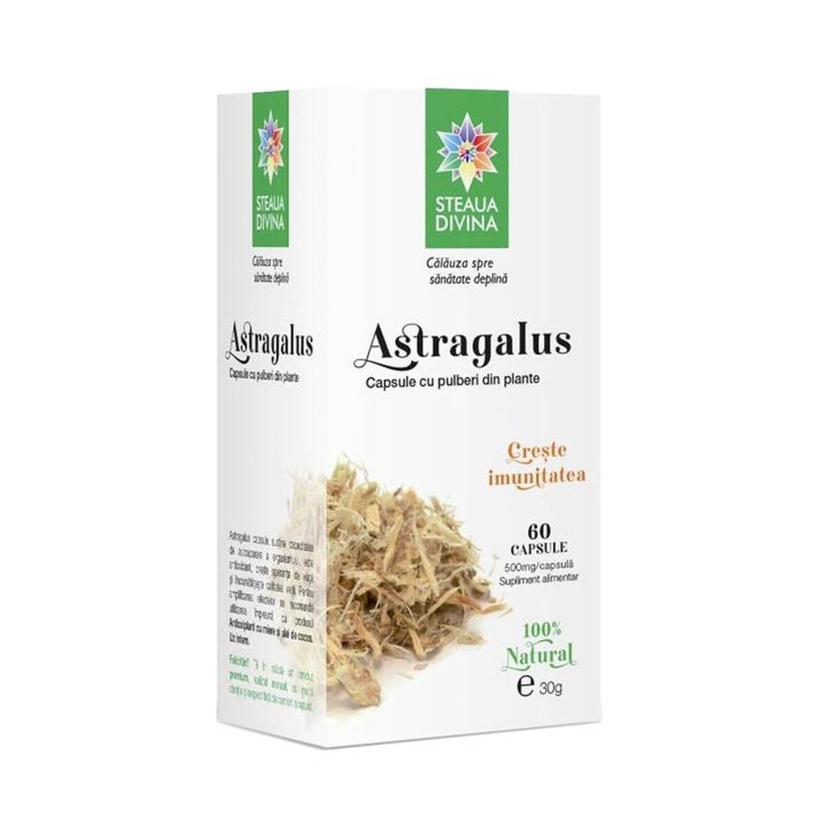 Astragalus, 60 capsule, Steaua Divină Vitamine si suplimente