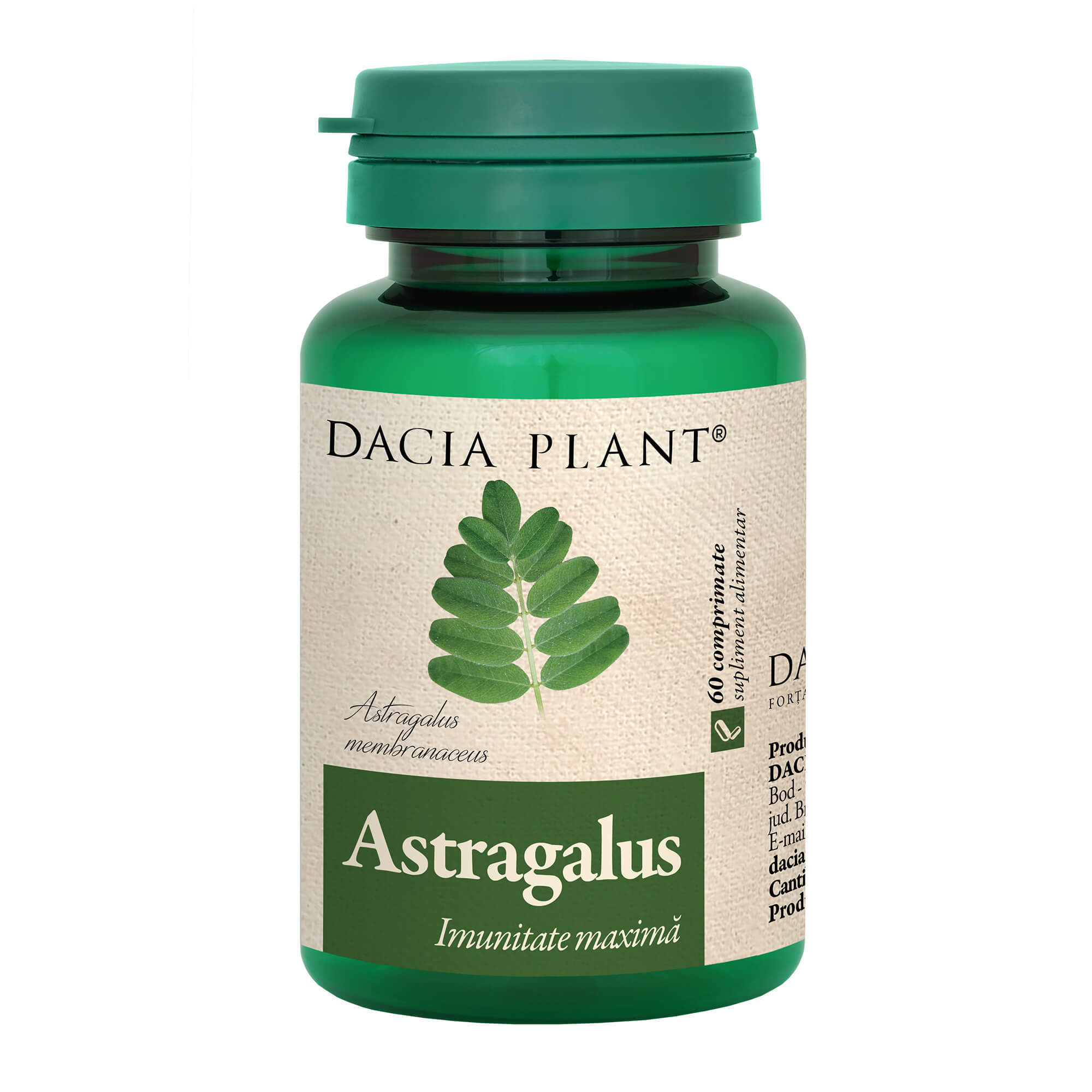 Astragalus, 60 comprimate, Dacia Plant Vitamine si suplimente