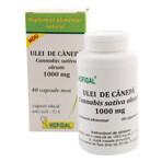 Ulei de cânepă 1000 mg, 40 capsule, Hofigal