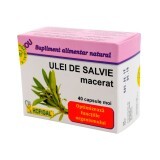 Ulei de Salvie macerat 500 mg, 40 capsule, Hofigal