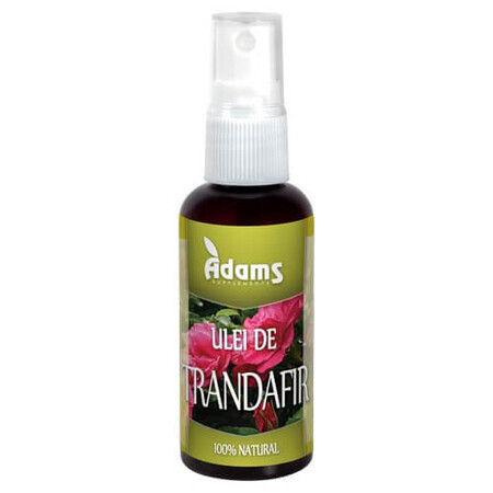 Ulei de trandafir, 50ml, Adams Vision