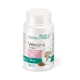 Valeriana extract 200 mg, 30 capsule, Rotta Natura