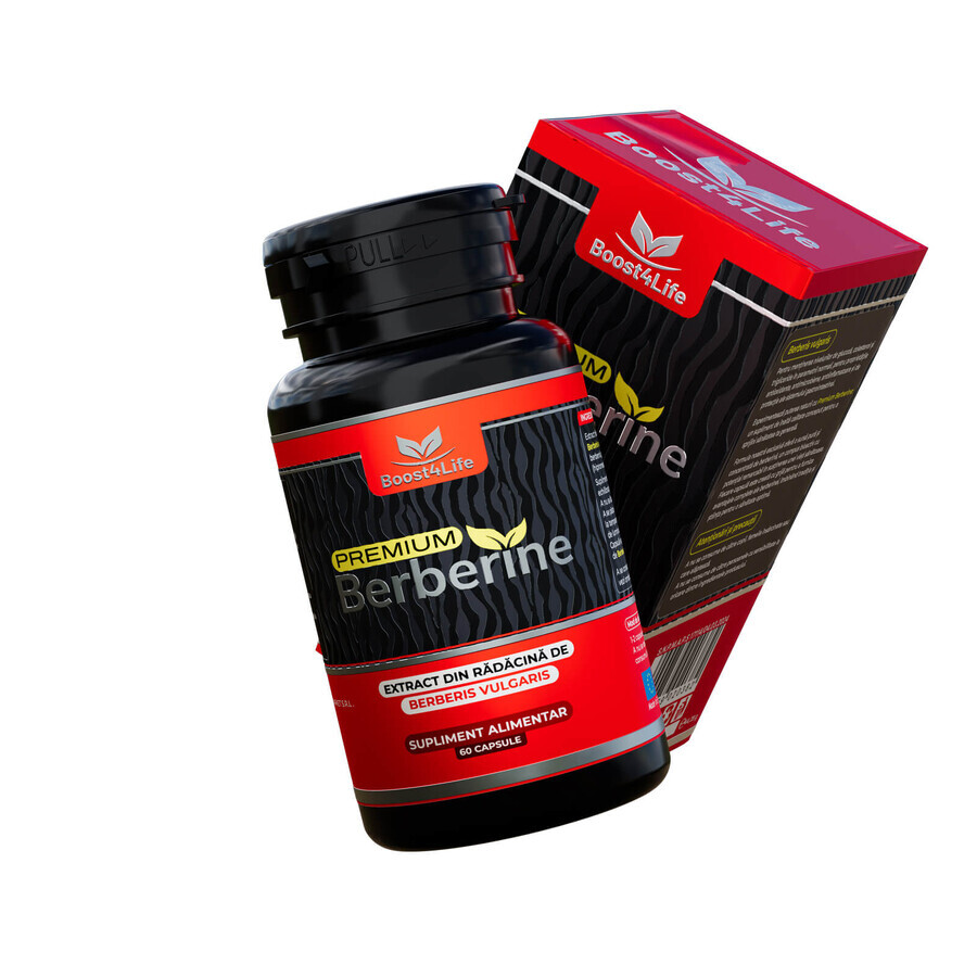 Berberine Premium 600 mg, 60 capsule, Boost4Life