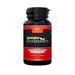 Berberine Premium 600 mg, 60 capsule, Boost4Life