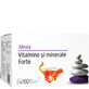 Vitamine și minerale Forte, 60 plicuri, Alevia