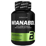 Wianabol, 90 capsule, Biotech USA