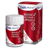 Branca montana a ursului, 120 capsule, Dvr Pharm